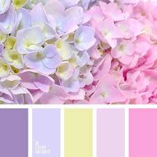 Sources of resveratrol in food include the skin of grapes, blueberries, raspberries, mulberries, and peanuts. Pin Von Daiane Pereira Auf Color Inspo Lila Farbpaletten Farbabstimmung Idee Farbe