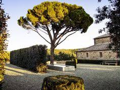 Under The Tuscan Sun Garden Designer Luciano Giubbilei S Italian Oasis Tuscan Garden Tuscan Landscaping Tuscan Landscape Design