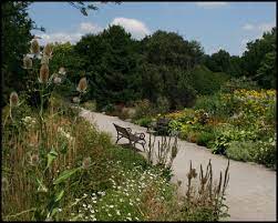 Botanischer garten „rombergpark die ursprünge des botanischen gartens rombergpark gehen auf das klassizistische wasserschloss brünninghausen der familie von romberg zurück. Botanischer Garten Rombergpark Und Zoo Dortmund Industriekultur Im Ruhrgebiet