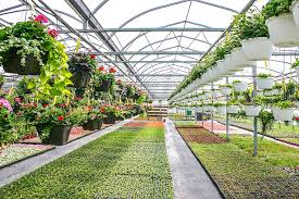 We want to see you using 100 percent of your yard this summer! Plant Nursery 1080p 2k 4k 5k Hd Wallpapers Free Download Wallpaper Flare