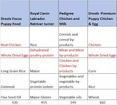 which dog food between royal canin pedigree and drools is