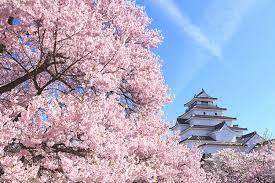 Check spelling or type a new query. Bunga Sakura Sudah Mekar Musim Semi 2021 Di Jepang Mulai Lebih Awal Halaman All Kompas Com