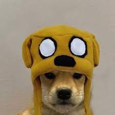 Scopri ricette, idee per la casa, consigli di stile e altre idee da provare. 190 Pup Ideas Dog Icon Dog Images Pup