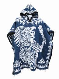 Image result for Pancovia holtzii