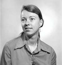 David Lepo's Instagram, Twitter & Facebook