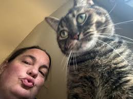 Missing from Westfield subdivision. Brisket. Girl. No tail. 7912 Woodbury  dr (707)734-3710