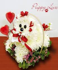 Beneva flowers promo codes & coupons october 2020. This Puppy Dog Shaped Floral Arrangement Is Easy To Care For And Features White Carnations Birthday Flowers Arrangements Valentines Flowers Birthday Flowers