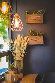 Indoor Plant Light Guide Our House Plants