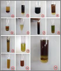 We did not find results for: View Of Phytochemical Analysis And Antioxidant Activity Of Methanolic Extract Of Leaves Of Corchorus Olitorius International Journal Of Current Pharmaceutical Research