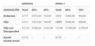 Las prestaciones por adopción, matrimonio o por nacimiento pasarán desde junio a $22.969, $5747 y $3838, respectivamente sin. Anses Como Seran Los Aumentos Para El 2021 Y Quienes Son Zona 1 Filo News