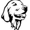 We have over 220 pictures of dogs for you to choose, from simple line art of different dog breeds, through to famous cartoon dogs such as the 101 dalmations, or paw patrol to name a few. 1