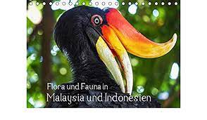 Therefore this region is often referred to as southeast asia. Depner U Flora Und Fauna In Malaysia Und Indonesien Tisch Amazon De Depner Uta Bucher