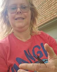 Hi! What is this pretty critter? I'm in NE Indiana.