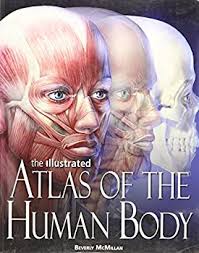 the-illustrated-atlas-of-the-human-body book by Beverly McMillan