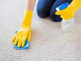 Professionelle und günstige endreinigung in zürich, aargau, luzern, zug, bern, solothurn, olten, winterthur und basel. Mieterinnen Mieterverband Zugeln Wie Sauber Muss Die Wohnung Sein