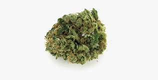 Durban Poison Nug Of Weed Png Transparent Png Transparent Png Image Pngitem