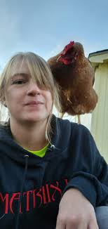 Everything Backyard Chicken!