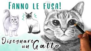 Ebbene, in questo post ti spiegheremo i principi fondamentali per effettuare dei ritratti in bianco e nero, a partire da un volto qualsiasi: Come Disegnare Un Gatto Miao Tutorial Disegno Realistico A Matita Per Imparare A Disegnare Youtube