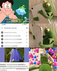 Steven Universe Future In 2020 Blue Bell Flowers Flower Meanings Favorite Books