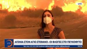 Jun 03, 2021 · το σχέδιο ανάπλασης του παραλιακού μετώπου:ποδηλατόδρομος 22 χλμ. Zyz3a2wbu9bpzm