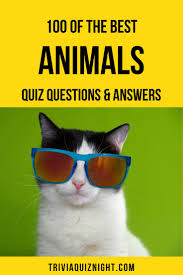 What kind of creature is a portugese man o war? 100 Animal Quiz Questions And Answers The Ultimate Animal Trivia Quiz Animal Quiz Quiz Questions And Answers Fun Quiz Questions