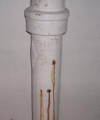 A staple of plumbing for many years, the cast iron has held a special place in the hearts and plumbing systems of people around the world. Cast Iron Waste Pipes Old House Web