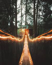 150 Feet Of Rope Light Is Probably Enough To Light This Fantastic Treehouse Bridge What Could You Do With 150 Feet Of Rope L Rope Light Cabin Life In The Tree
