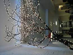 Fairy Lights On Tree Branch Fairy Lights Lights Tree Branches