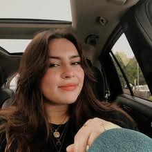 Bull rider, a card pack by Lilly Walters