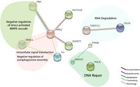 Not knowing whether you have a brca gene change might keep you from knowing how high your risk actually may be. Family Specific Genetic Predisposition To Breast Cancer Results From Tunisian Whole Exome Sequenced Breast Cancer Cases Journal Of Translational Medicine Full Text