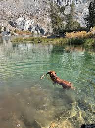 Lake Sabrina Boat Landing - All You Need To Know Before You Go (2024)