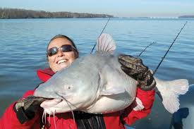Singing The Blues At The Tidal River Cat Show Fishing Boatus Magazine