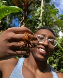 Image result for Geigeria schinzii