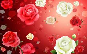 Achtergrond Rode En Witte Rozen Bureaublad Achtergronden Rosas Vermelhas Rosas Lindas Rosas