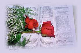 Bible verses related to praise and worship from the king james version (kjv) by relevance. Scriptures On Thankfulness Bible Verses On Thanksgiving