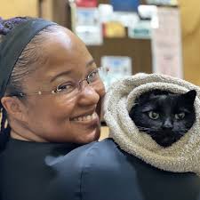 BEST of Patterson, CA Mobile Veterinary Services