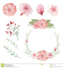 Grupo Do Vetor De Arranjos Das Flores Das Folhas E Dos Ramos Ilustracao Do Vetor Ilustracao De Fundo Buque 116956816