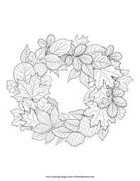 Collection of autumn leaf coloring page (29). Autumn Leaf Coloring Pages Png Free Autumn Leaf Coloring Pages Png Transparent Images 84748 Pngio