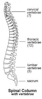 Computer & networks solution provides samples, templates and libraries of symbols for all types. Juvenile Ankylosing Spondylitis Jas Children S Wisconsin