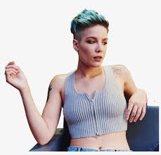 Halsey short hair experimenting with different colors can help you find the right colors that suit you for halsey short hair. Trabajos De Informatica 2015 2016 Halsey Long Vs Short Hair Transparent Png 1000x1000 Free Download On Nicepng