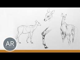 16 Satisfying Optical Drawing Technics Youtube
