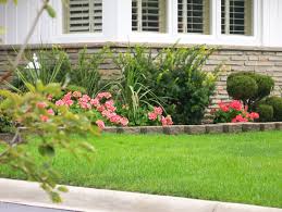 Pin On Outdoor Decor Ideas Plants