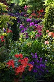 All this time it was owned by patterson's flowers inc of patterson's flowers inc, it was hosted by mci communications services inc. Just Beautiful And Perfect Flowers And Plants Combination It Show Off The Color And Shape Gardening Flora Gorgeous Gardens Beautiful Gardens Dream Garden