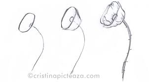 Desene in creion cu flori. Pin On 100 Tutoriale De Pictura Arta Video Tutoriale De Desene In Creion Pictura