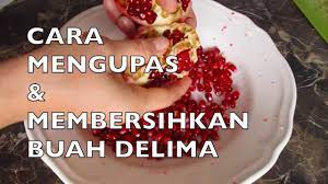 Buah delima atau yang populer dengan nama pomegranate adalah salah satu super fruit yang terkenal kaya akan zat antioksidan yang baik untuk kesehatan tubuh. Buah Delima Cara Mengupas Membersihkan Buah Delima Deseed A Superfood Pomegranate Ii Clk Youtube