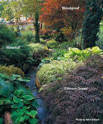 Designing With Japanese Maples Japanese Garden Plants Japanese Garden Landscape Japanese Maple Tree Landscape
