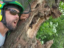 Tree Climbers Facebook Page