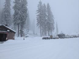 New Snow | Mount Shasta Avalanche Center