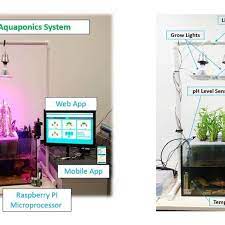 Smart Aquaponics System Download Scientific Diagram