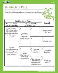 Classification Of Plants Plants Worksheets Plants Education Plant Classification